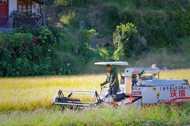 農(nóng)戶駕駛著收割機(jī)