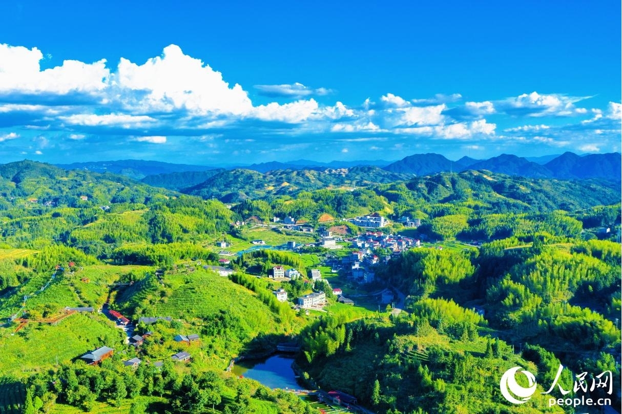 依托豐富的自然資源，大田縣大力發(fā)展茶旅特色產業(yè)。人民網(wǎng) 李唯一攝